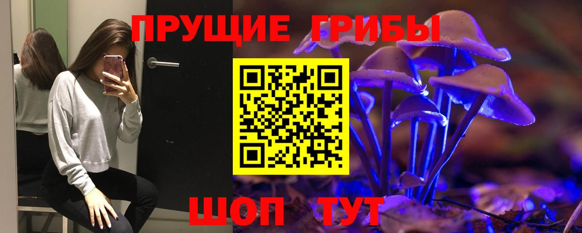 Галлюциногенные грибы Psilocybe Ржев