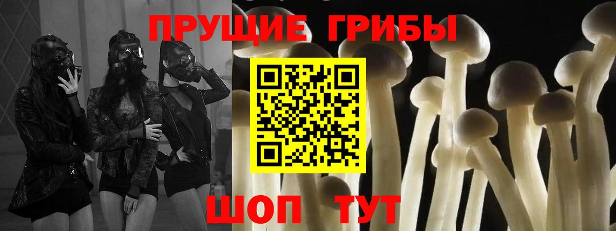 Ржев  продажа наркотиков  Вход с VPN  Псилоцибиновые грибы мухоморы 