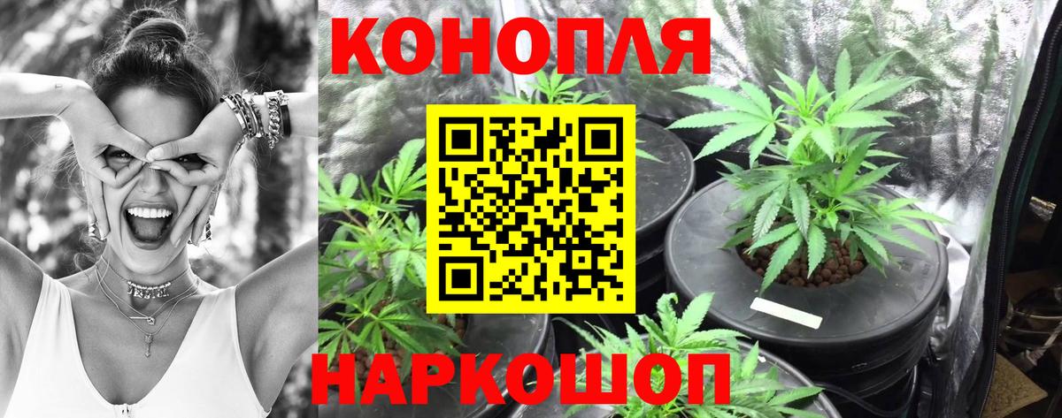 Каннабис THC 21%  Бошки Шишки THC 21%  Бошки марихуана LSD WEED  Ржев  Вход с VPN 